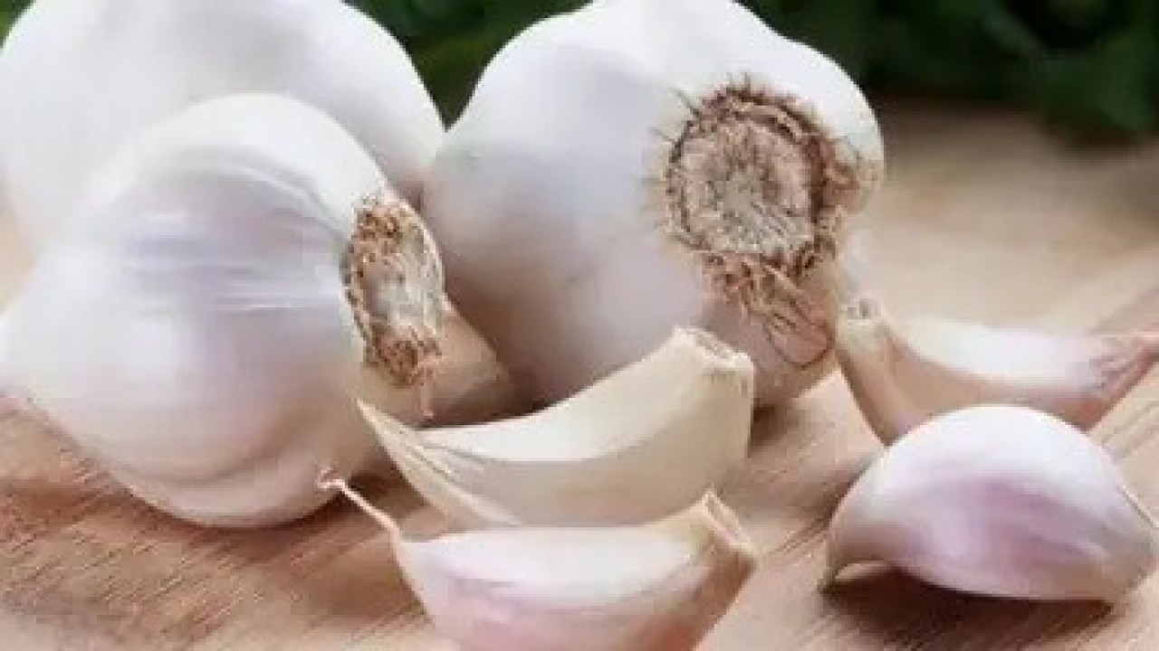 ज्यादा लहसुन (garlic) का सेवन भी सेहत पर पड़ सकता है भारी, जानें लहसुन खाने के 5 घातक नुकसान